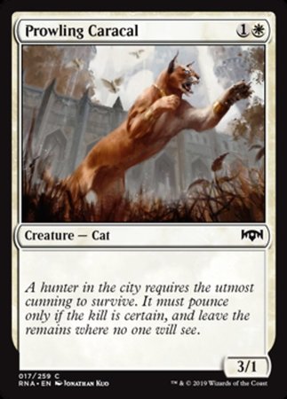 Prowling Caracal [Ravnica Allegiance]